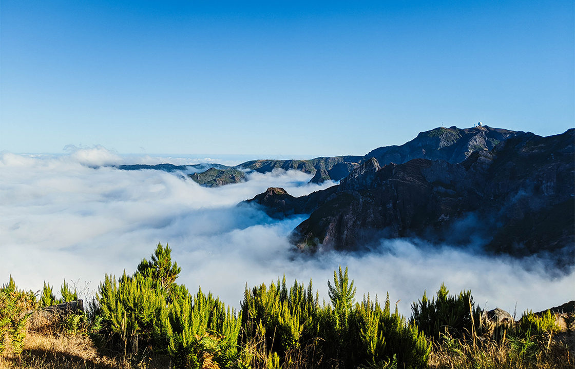 Mit dem Privatjet nach Pico