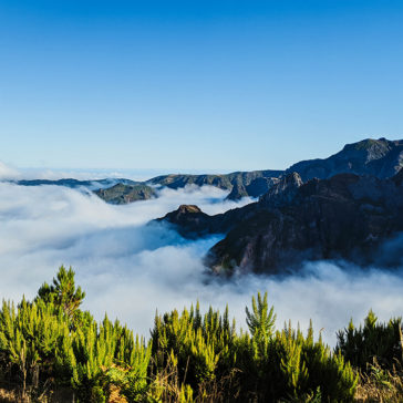 Mit dem Privatjet nach Pico